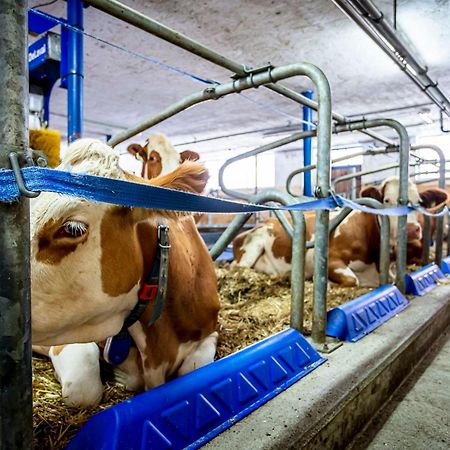 Ferienwohnungen Am Biobauernhof Lahner Bramberg am Wildkogel Buitenkant foto